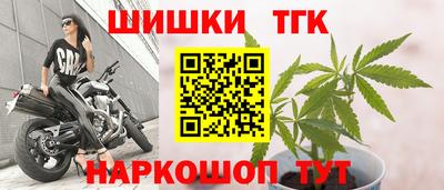 прущие грибы Гусев