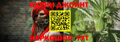 прущие грибы Гусев